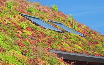 Barrow Haven living roof systems