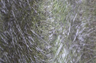 Barrow Haven fibreglass roof work